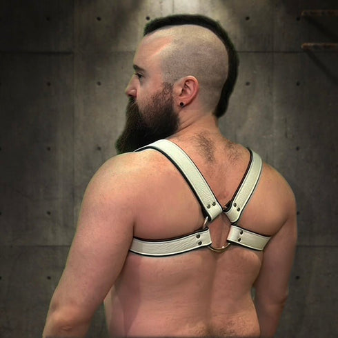 Bold Bulldog Harness