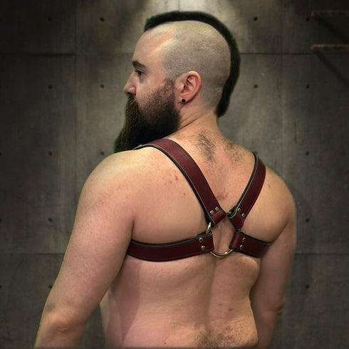 Bold Bulldog Harness