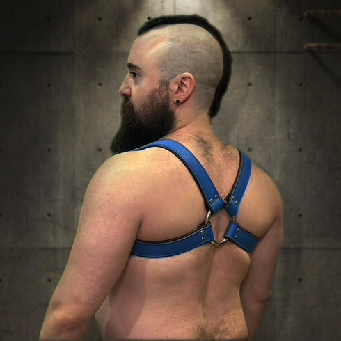 Bold Bulldog Harness