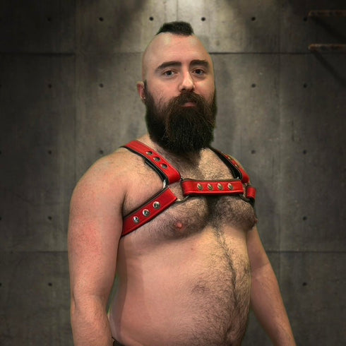 Bold Bulldog Harness