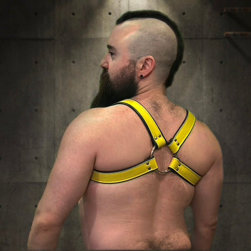 Bold Bulldog Harness