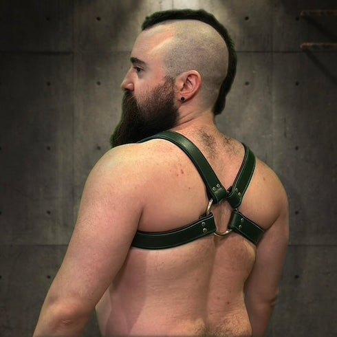 Bold Bulldog Harness