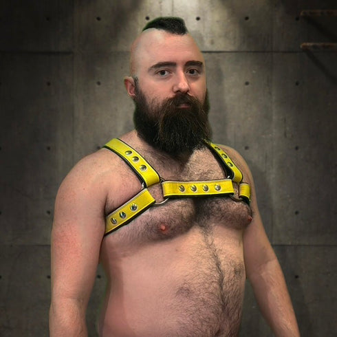 Bold Bulldog Harness