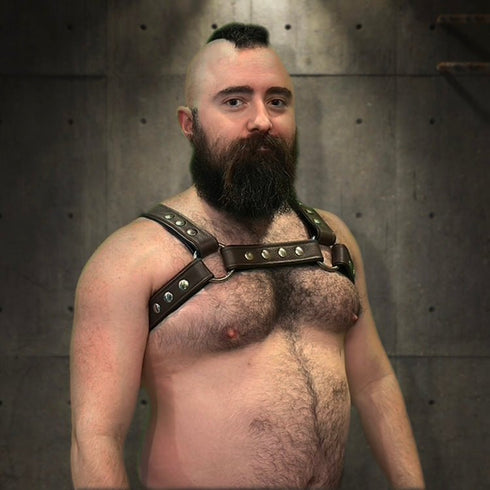 Bold Bulldog Harness