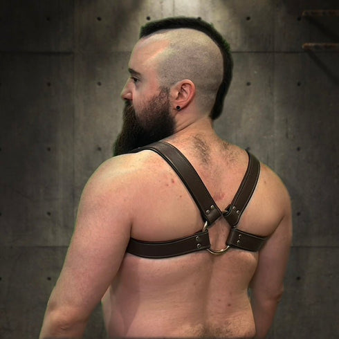 Bold Bulldog Harness