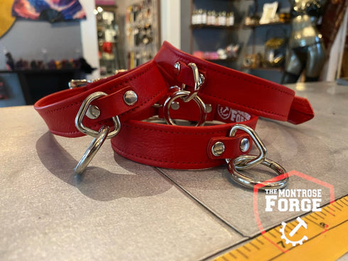 Locking Buckle Collar