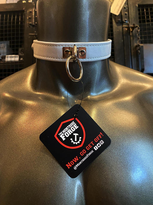 Locking Buckle Collar