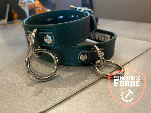 Locking Buckle Collar