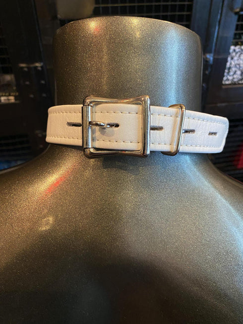 Locking Buckle Collar