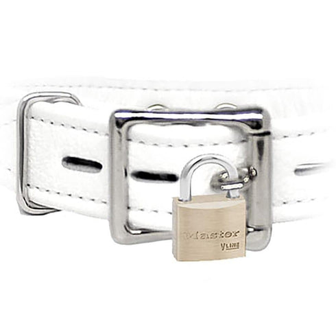 Locking Buckle Collar