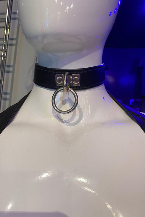 Locking Buckle Collar