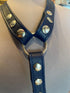 Classic I Harness