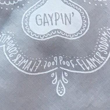 Gaypin - Secretly Sexy Bandanas