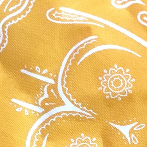 Gaypin - Secretly Sexy Bandanas