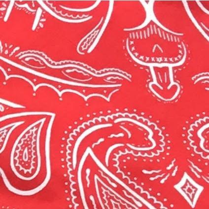 Gaypin - Secretly Sexy Bandanas