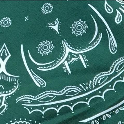 Gaypin - Secretly Sexy Bandanas