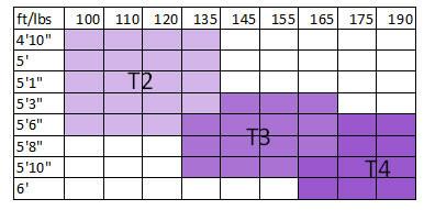 Gina Stocking with Garter Belt Look - Nude