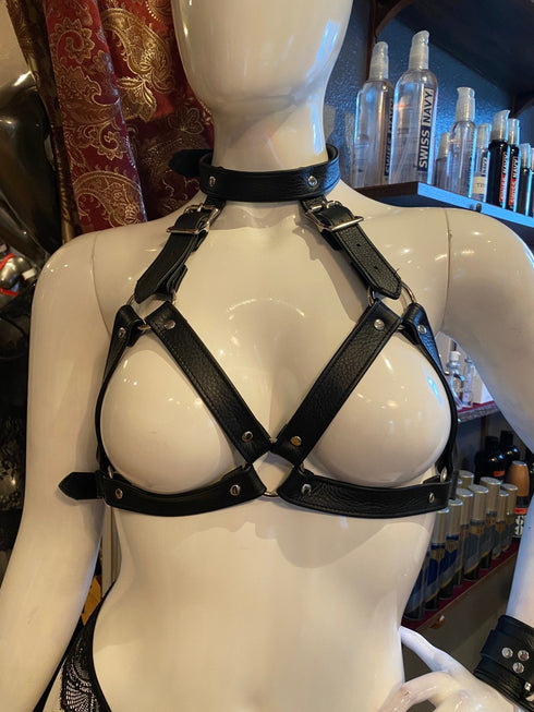 M Harness