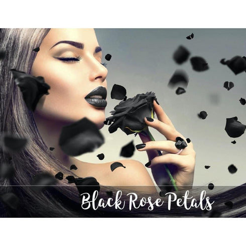 Silk Rose Petals - Black