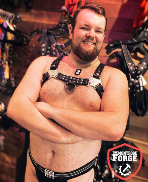 Wrangler Bulldog Harness - Black